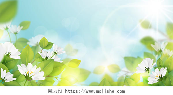 小清新背景蓝天白云清新植物花朵梦幻阳光春天春季唯美素材背景